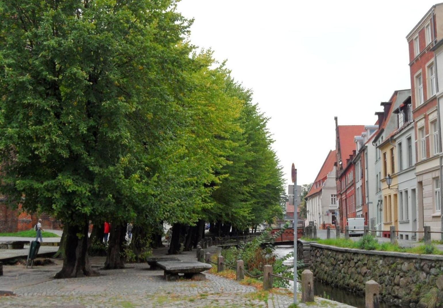 Parterrewohnung *